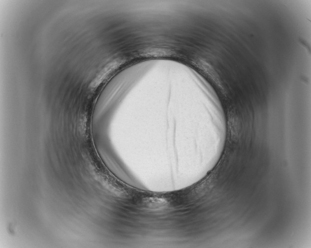 X0000101660159200807311443