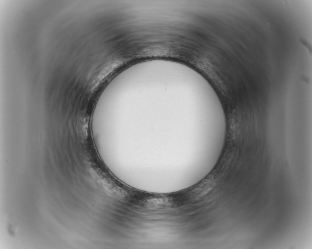 X0000101660160200807311443