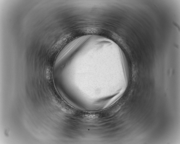 X0000101660161200807311443