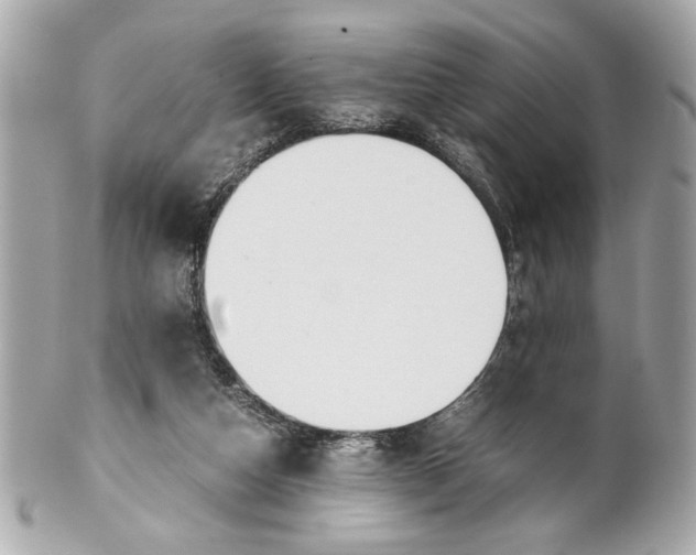 X0000101660162200807311443