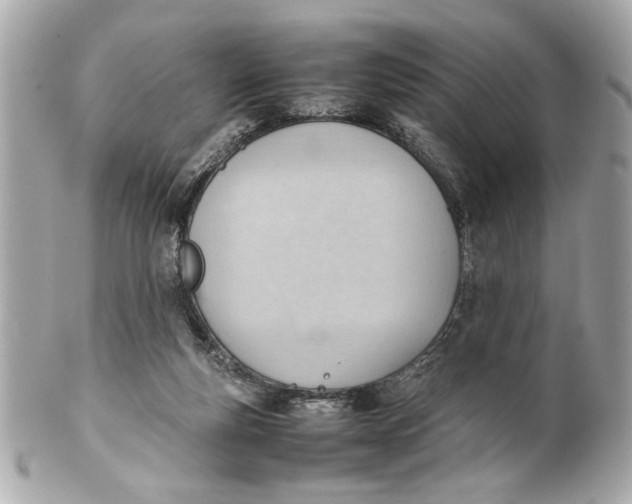 X0000101660163200807311443