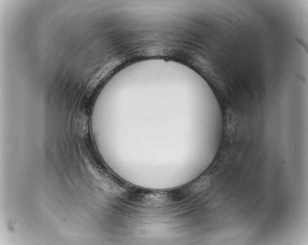 X0000101660164200807311443