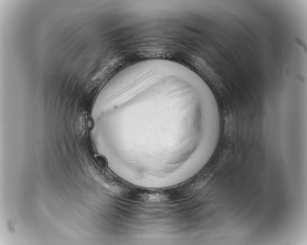 X0000101660165200807311443