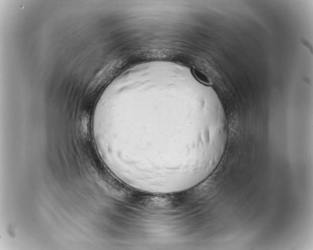 X0000101660166200807311443