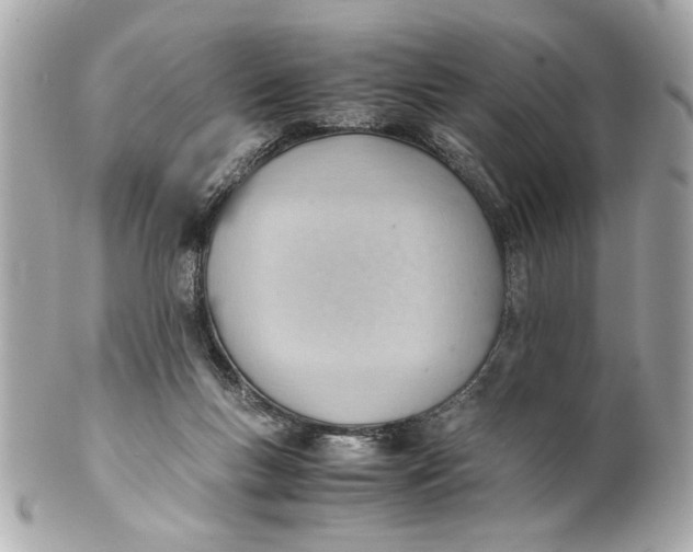 X0000101660167200807311443