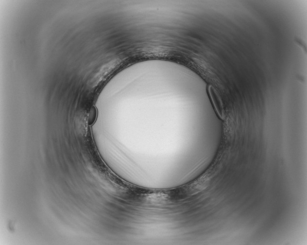 X0000101660168200807311443