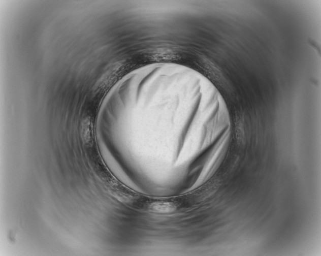 X0000101660169200807311443