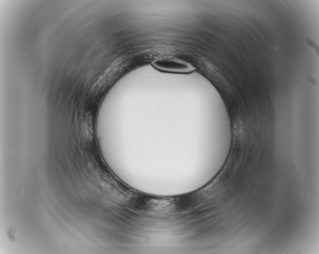 X0000101660170200807311443