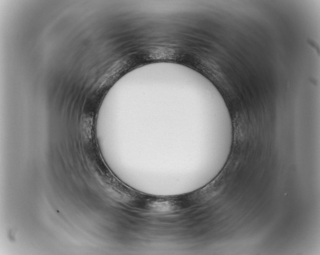 X0000101660171200807311443