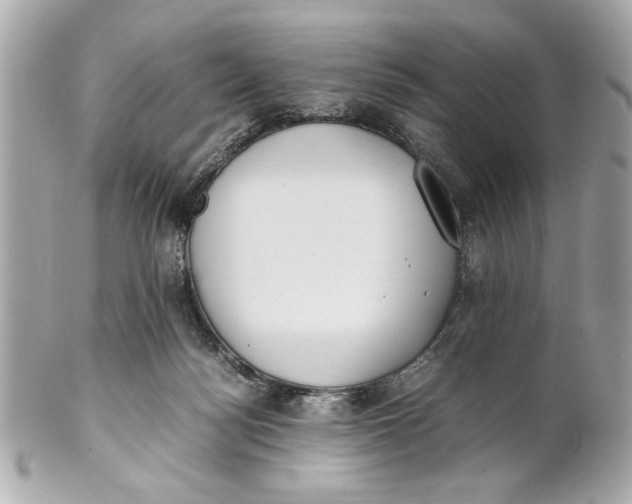 X0000101660172200807311443