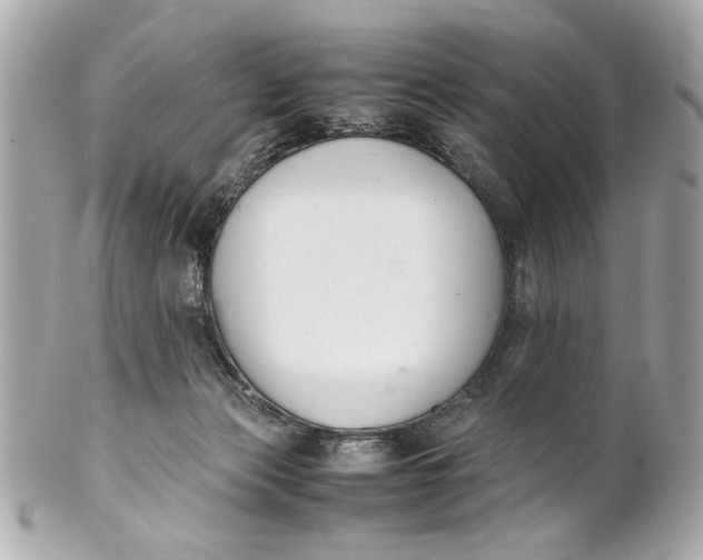 X0000101660173200807311443