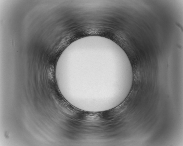 X0000101660175200807311443