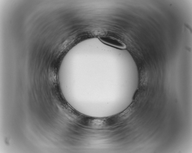 X0000101660176200807311443