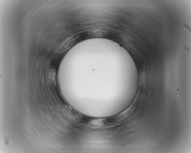 X0000101660178200807311443