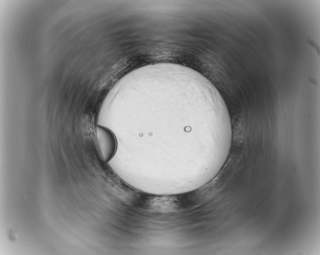 X0000101660179200807311443