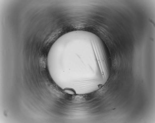 X0000101660180200807311443