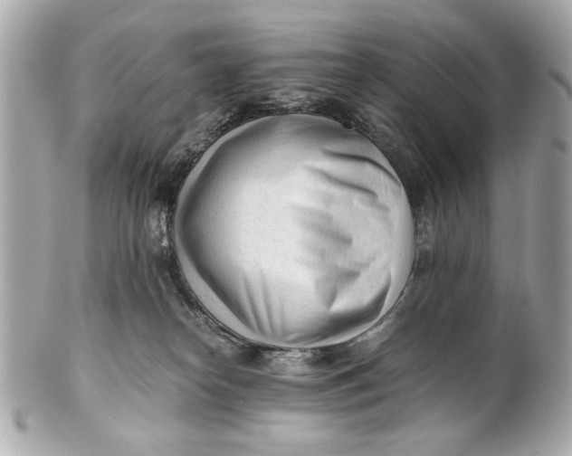 X0000101660182200807311443