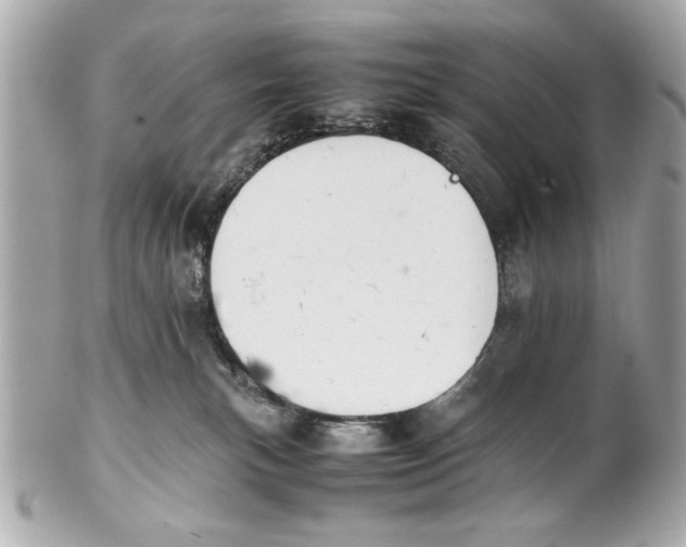 X0000101660183200807311443