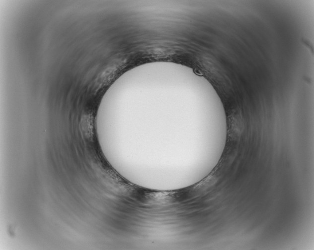 X0000101660184200807311443