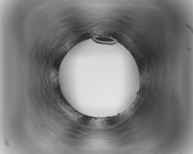 X0000101660186200807311443