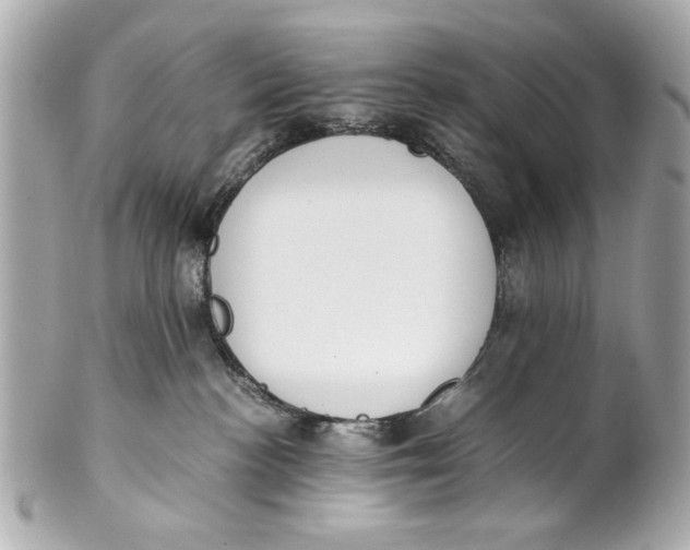 X0000101660188200807311443