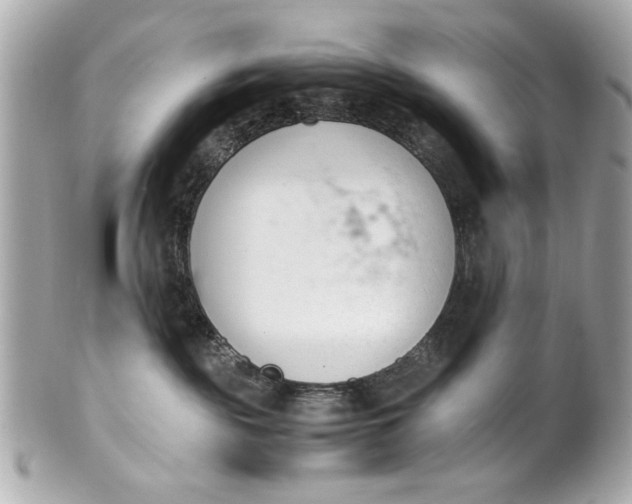 X0000101660189200807311443