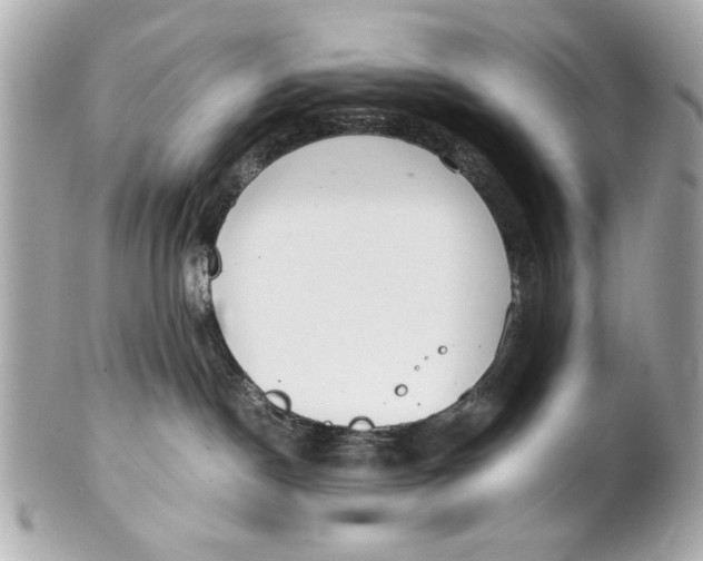 X0000101660190200807311443