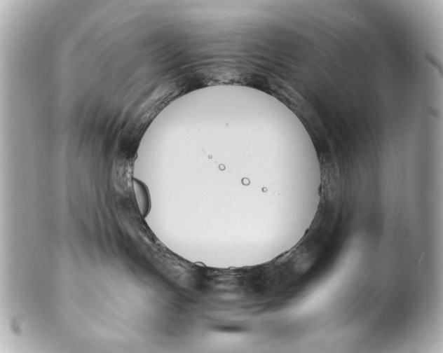 X0000101660191200807311443