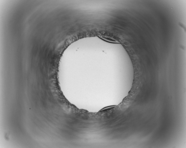 X0000101660192200807311443