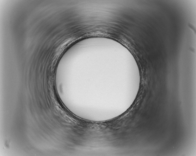 X0000101660193200807311443