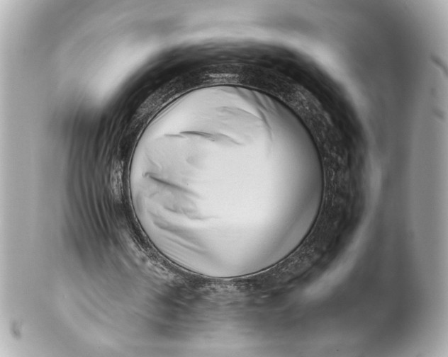 X0000101660194200807311443