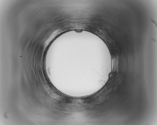 X0000101660195200807311443