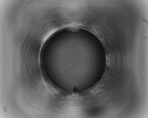 X0000101660196200807311443