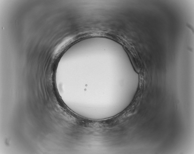 X0000101660197200807311443