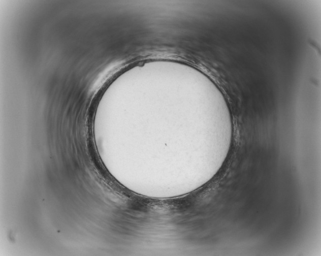 X0000101660199200807311443