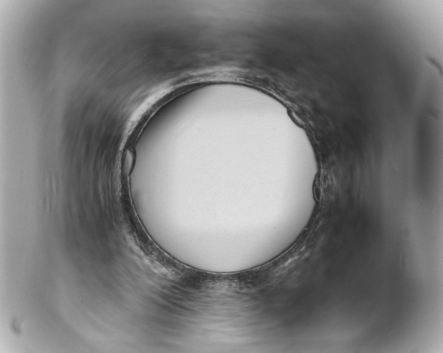 X0000101660200200807311442