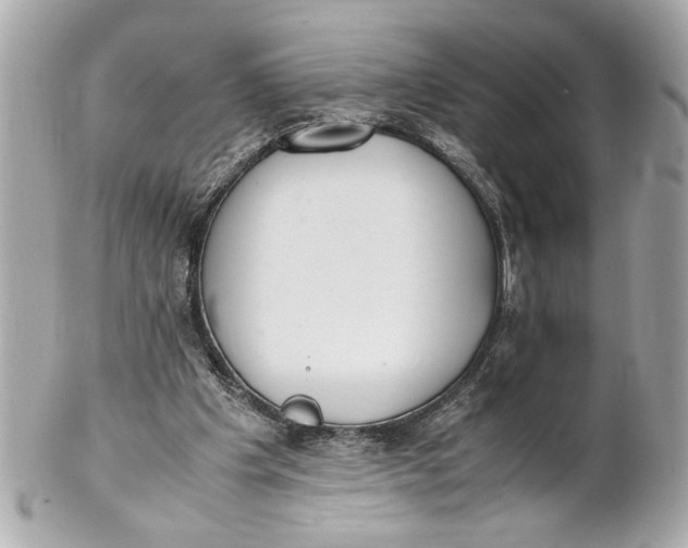 X0000101660201200807311442