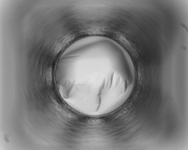 X0000101660202200807311442