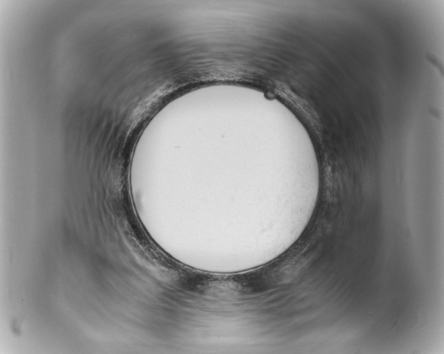 X0000101660203200807311442