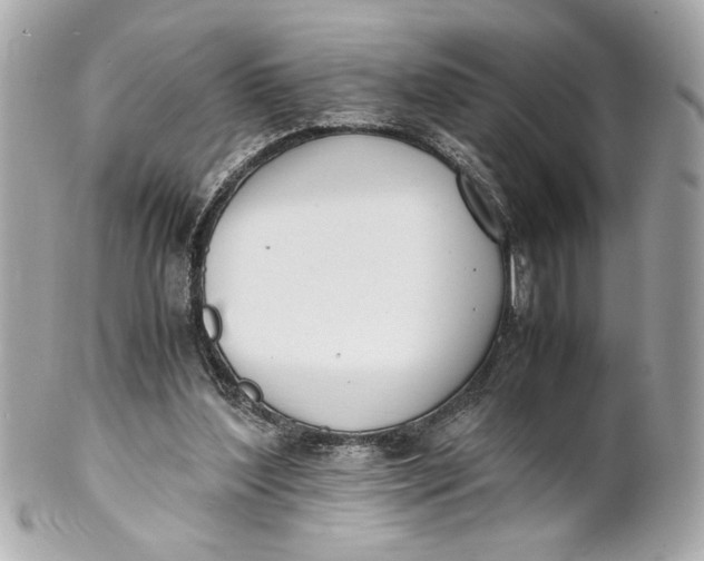 X0000101660204200807311442