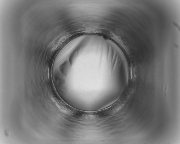 X0000101660205200807311442