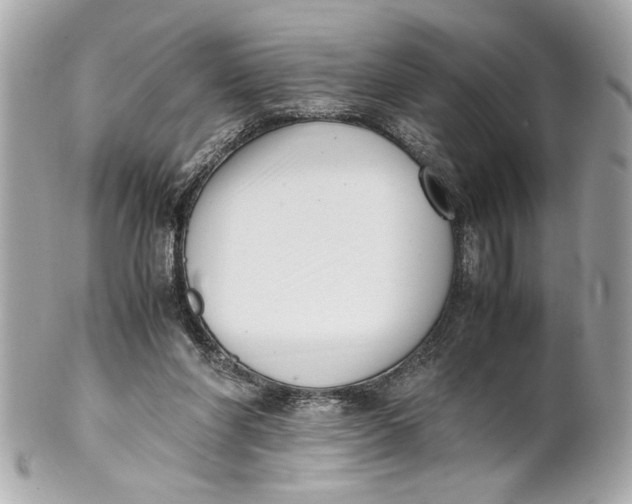 X0000101660206200807311442