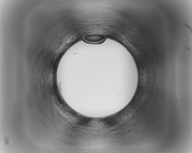 X0000101660207200807311442