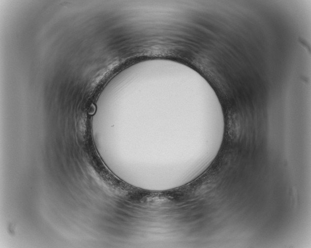 X0000101660208200807311442