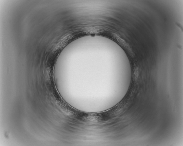 X0000101660209200807311442