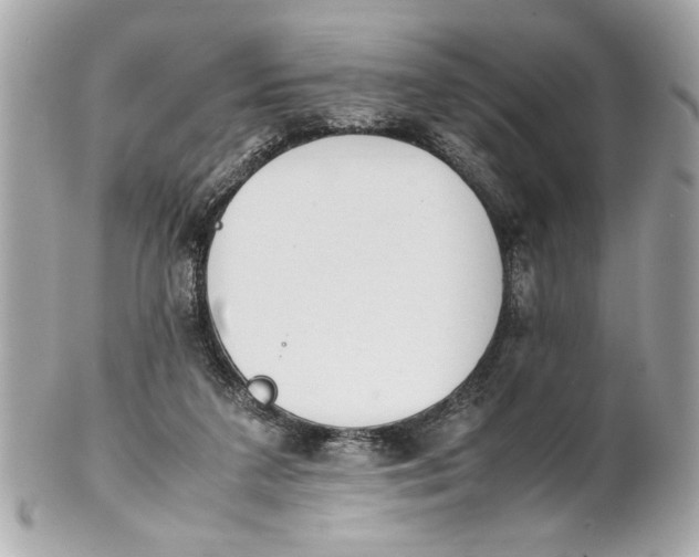 X0000101660211200807311442