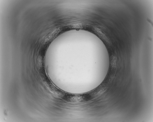 X0000101660213200807311442