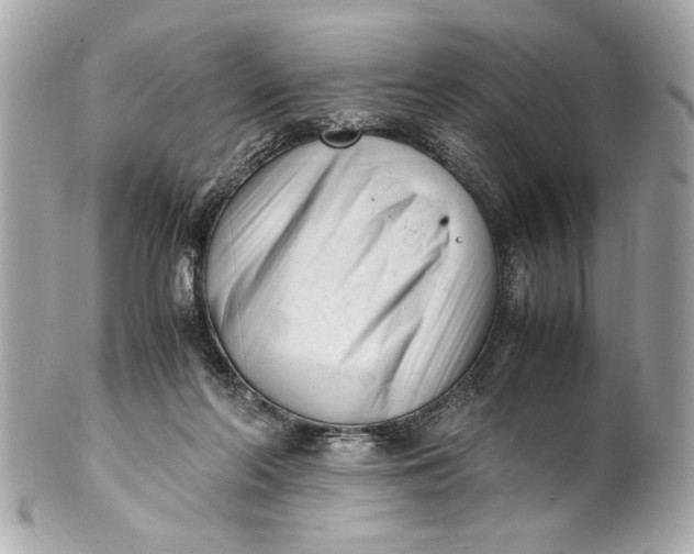 X0000101660214200807311442