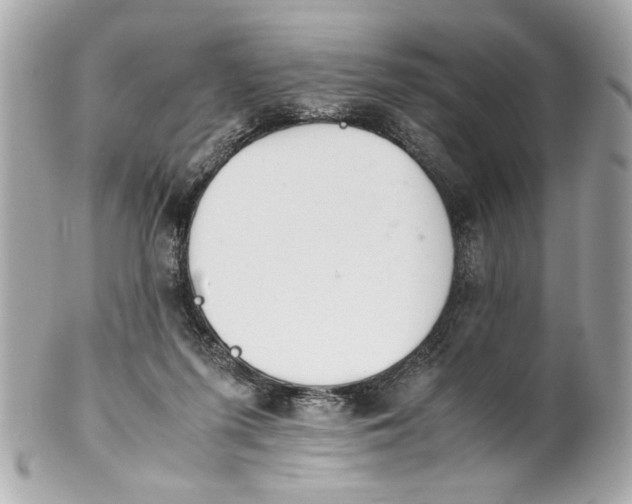 X0000101660215200807311442