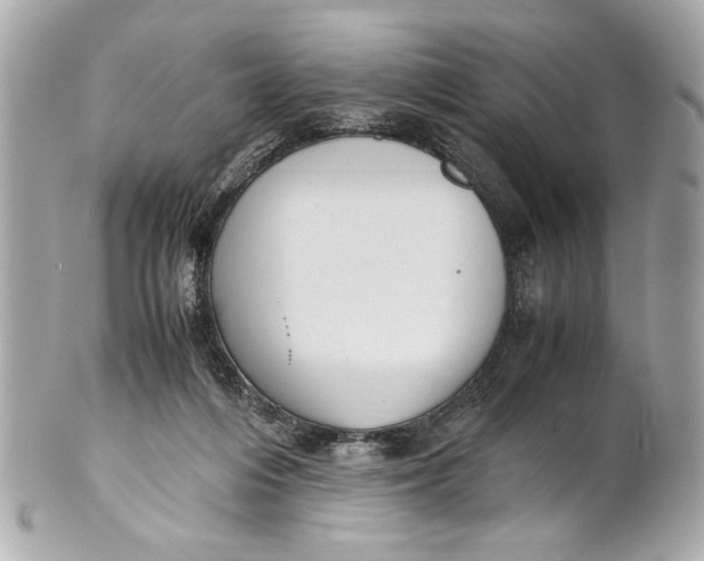 X0000101660216200807311442